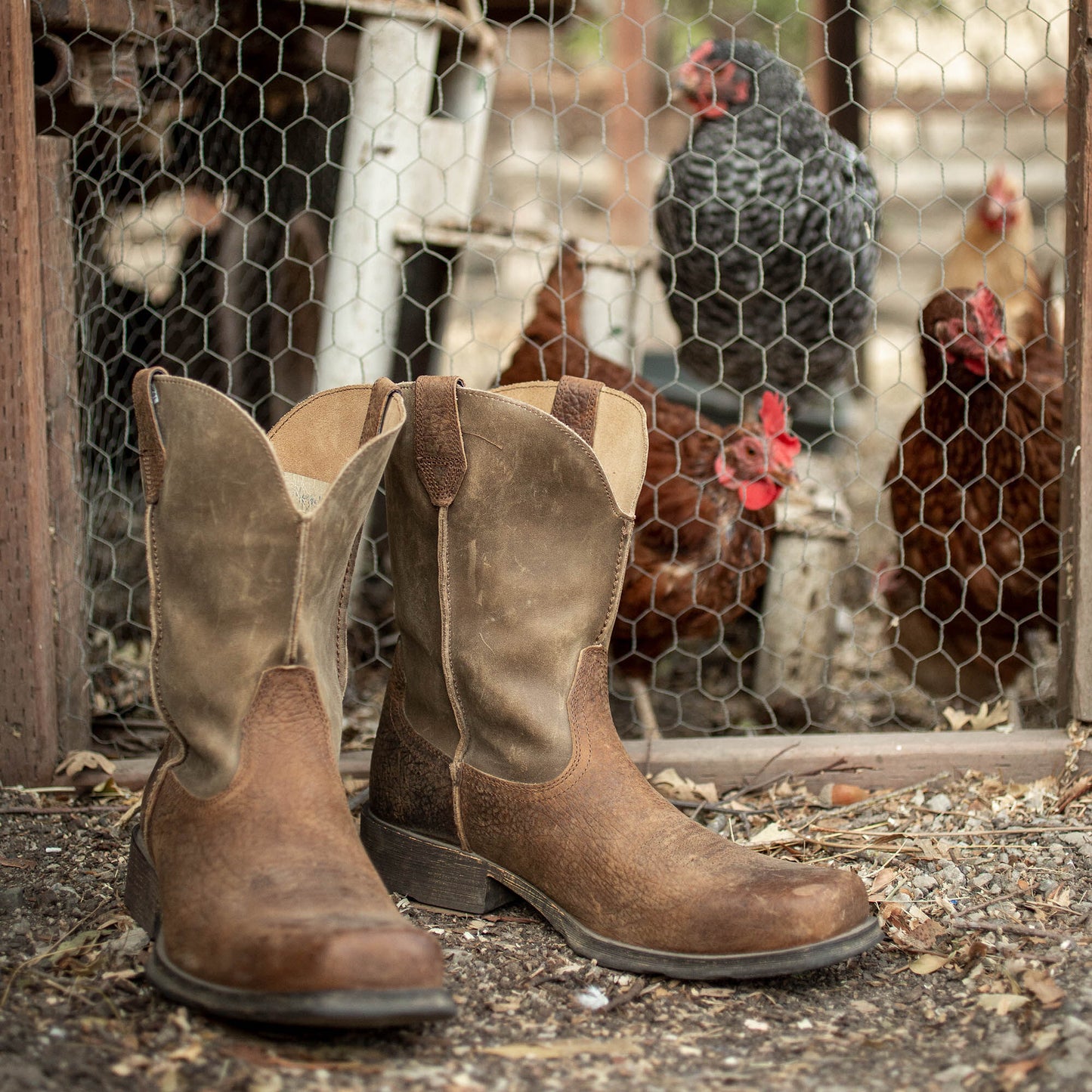 Ariat Men Rambler Western Boot