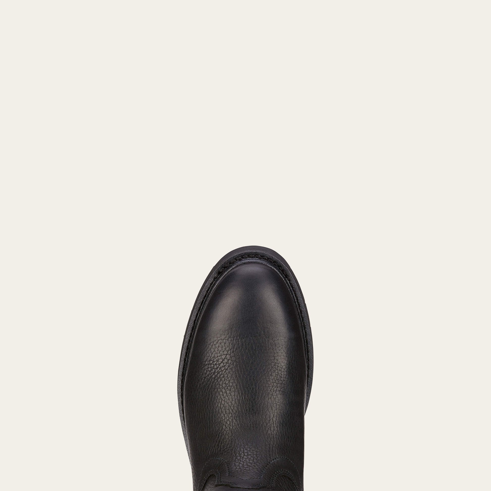 Ariat Men Sierra Work Boot