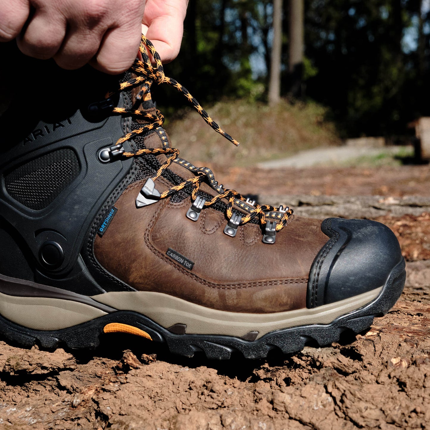 Ariat Men Endeavor 6" Waterproof Carbon Toe Work Boot