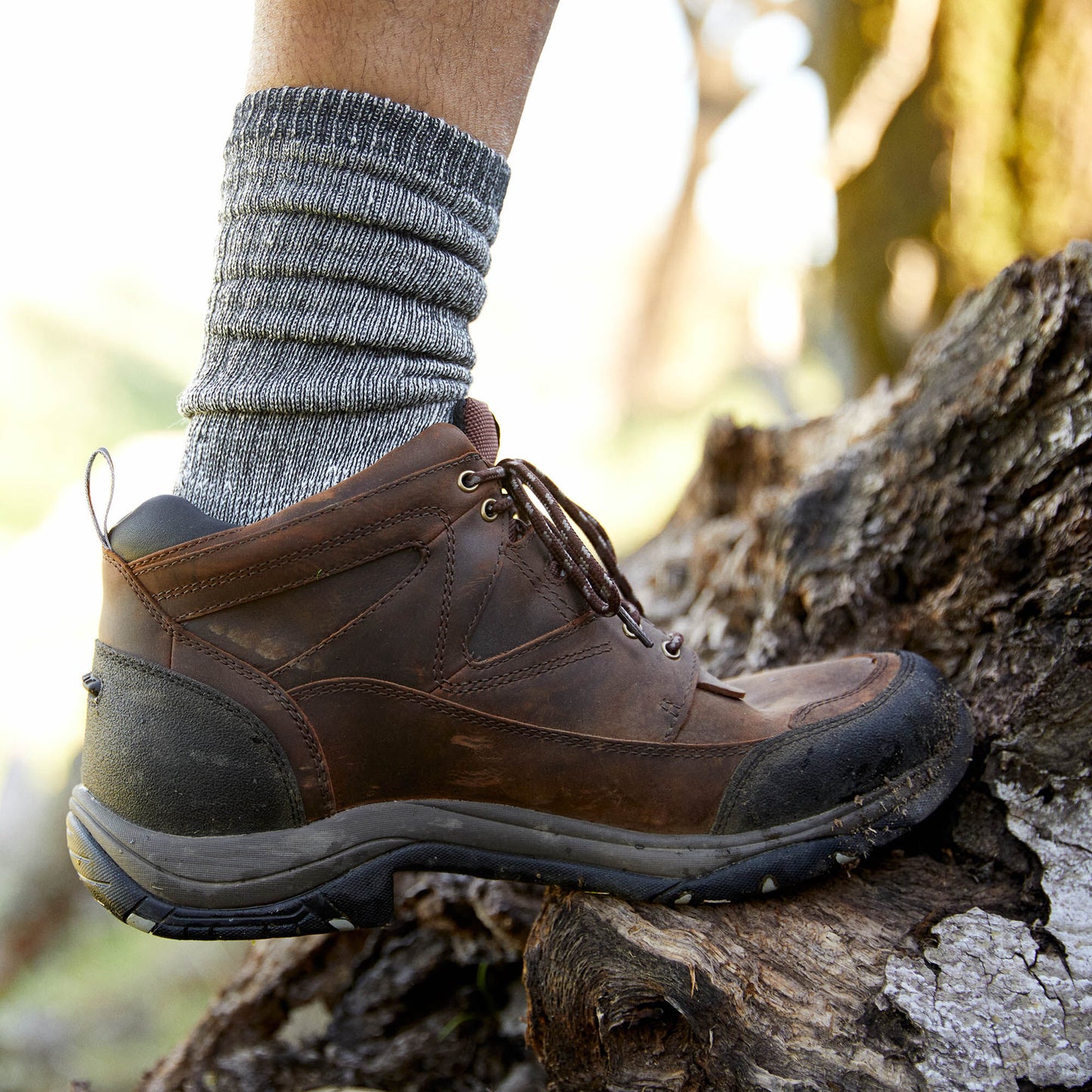 Ariat Men Terrain Waterproof Boot
