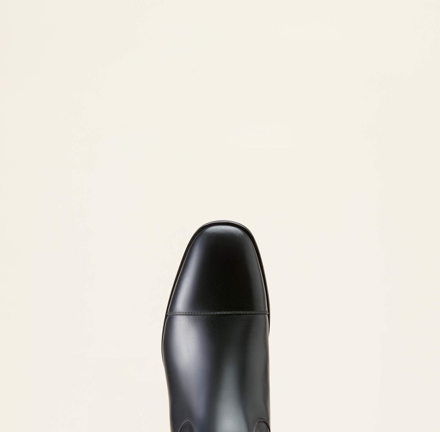 Ariat Men|Trends Ravello Dress Tall Riding Boot