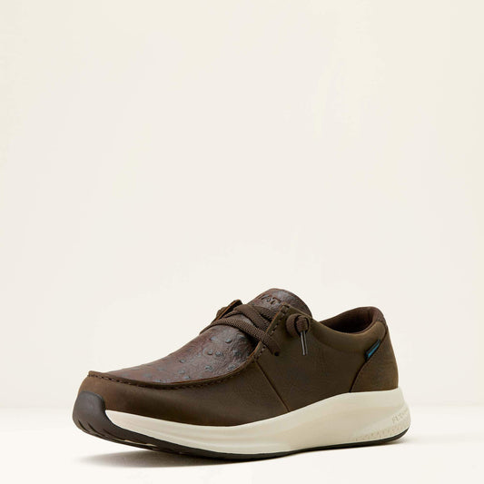 Ariat Men Buckeye Waterproof Shoe
