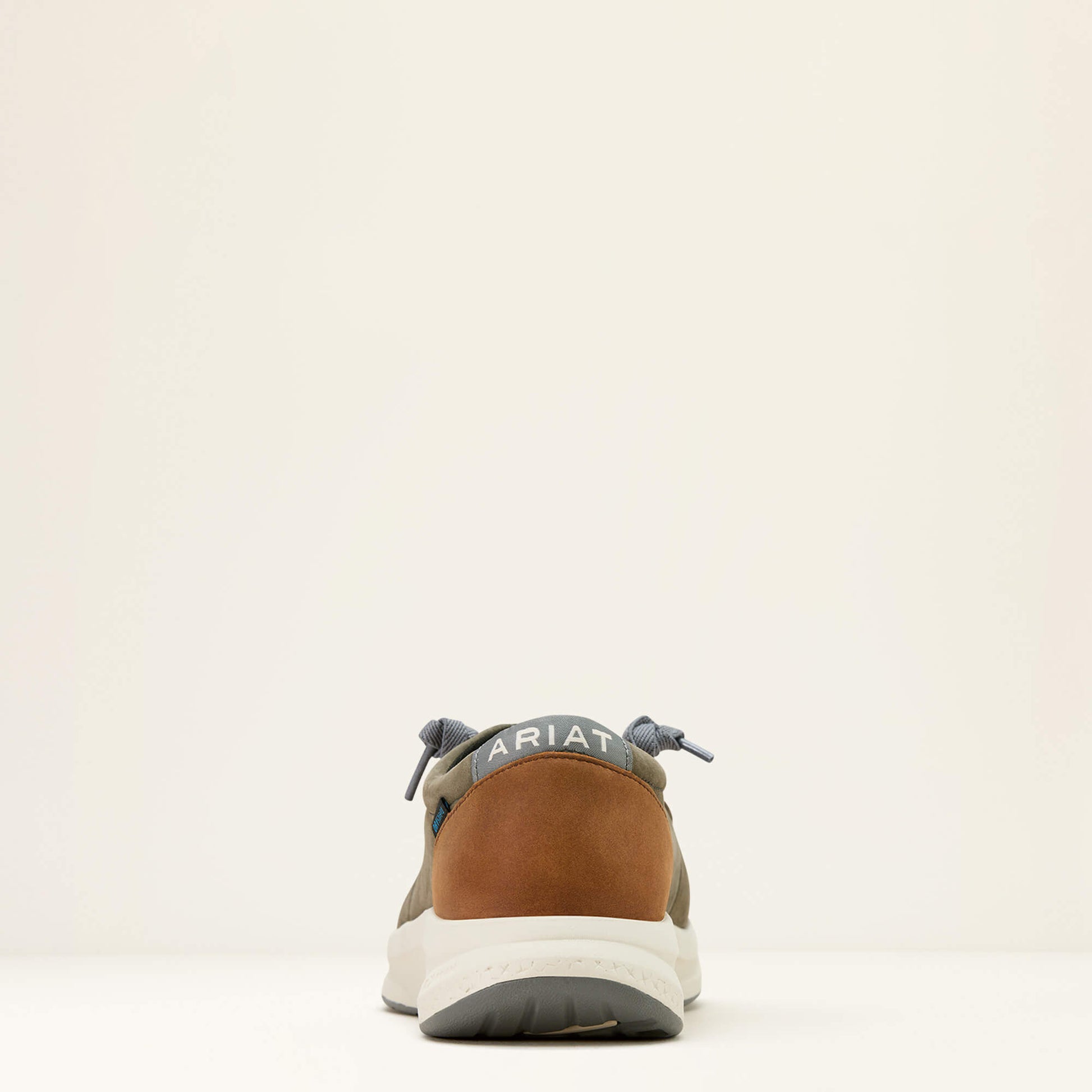 Ariat Men Buckeye Waterproof Shoe