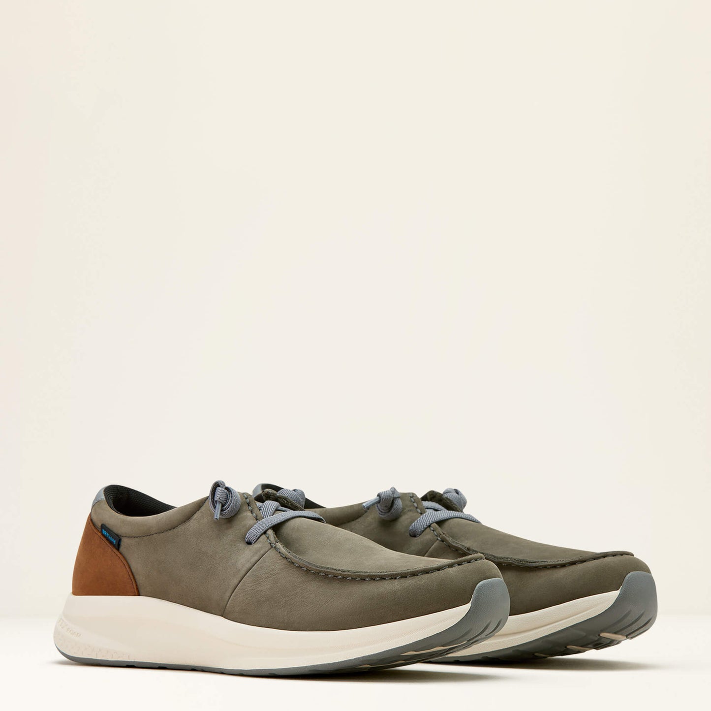 Ariat Men Buckeye Waterproof Shoe