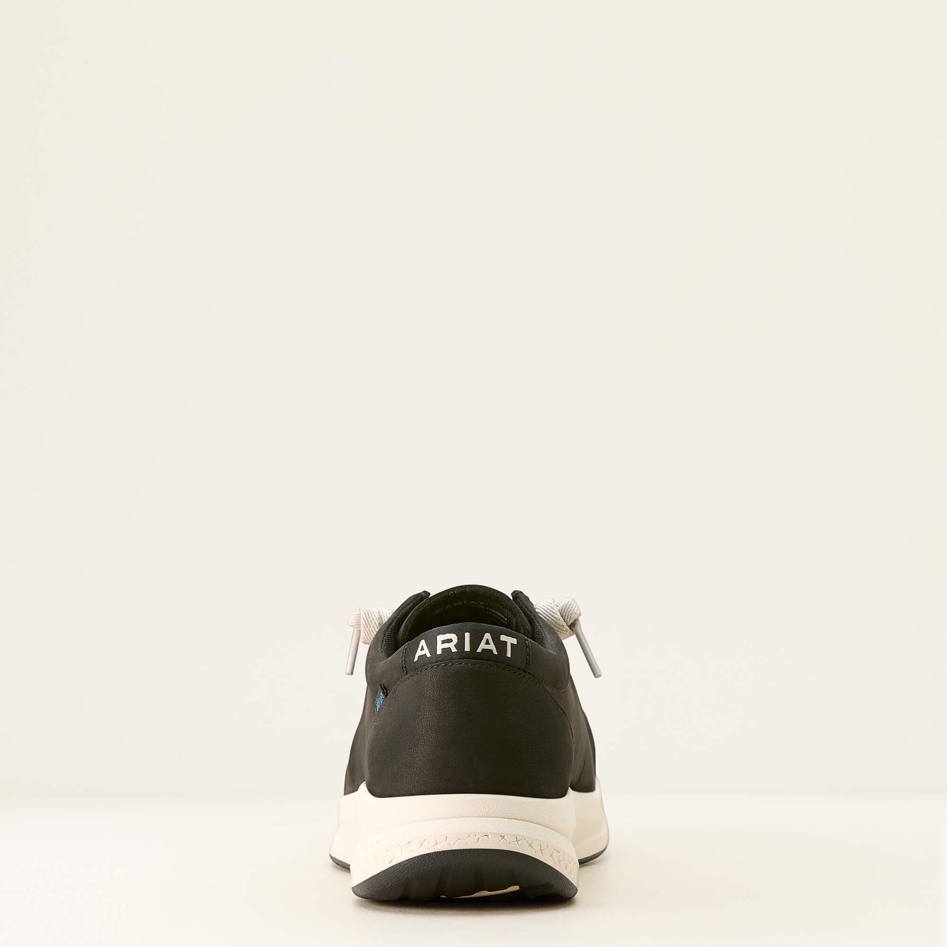 Ariat Men Buckeye Waterproof Shoe