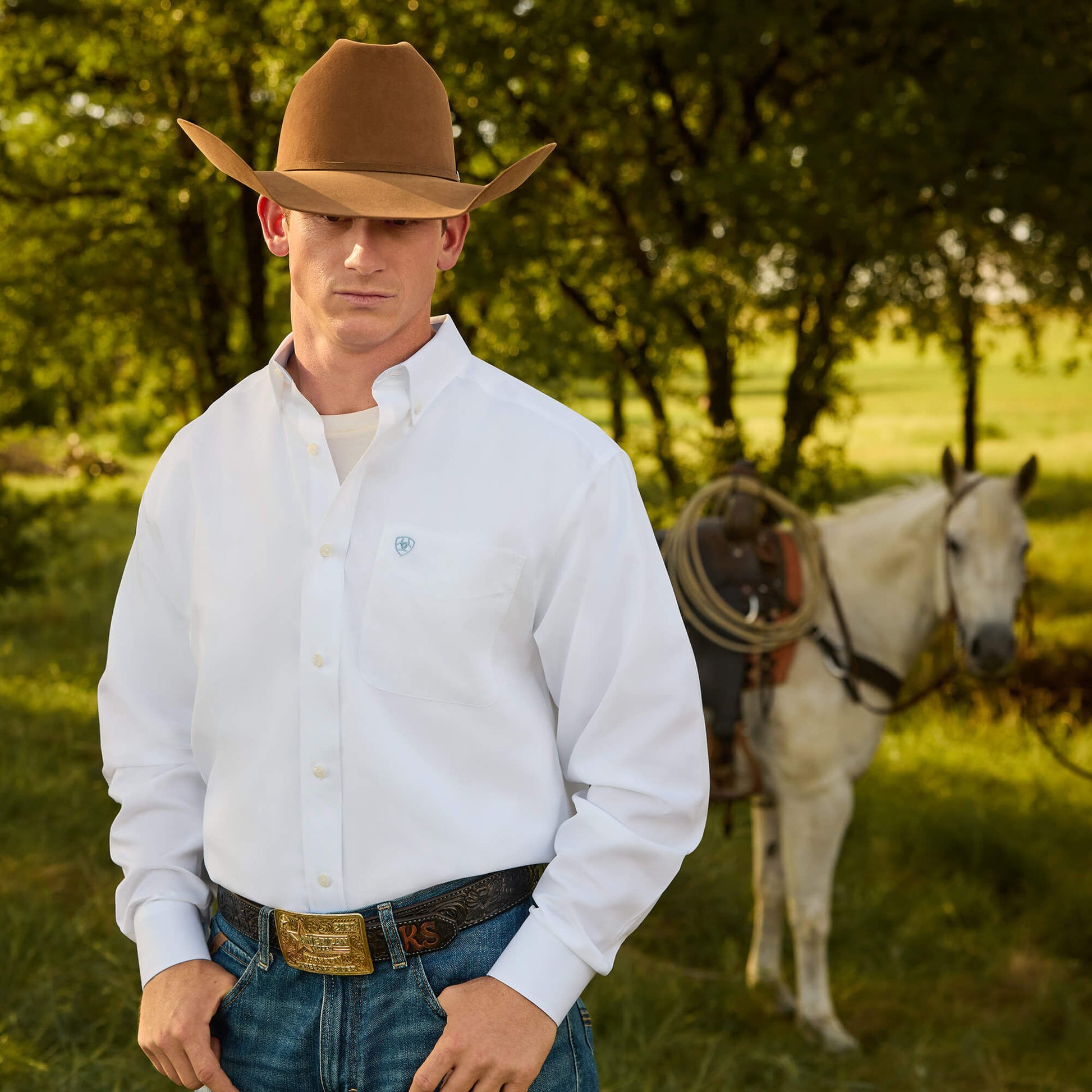 Ariat Men Wrinkle Free Solid Classic Fit Shirt