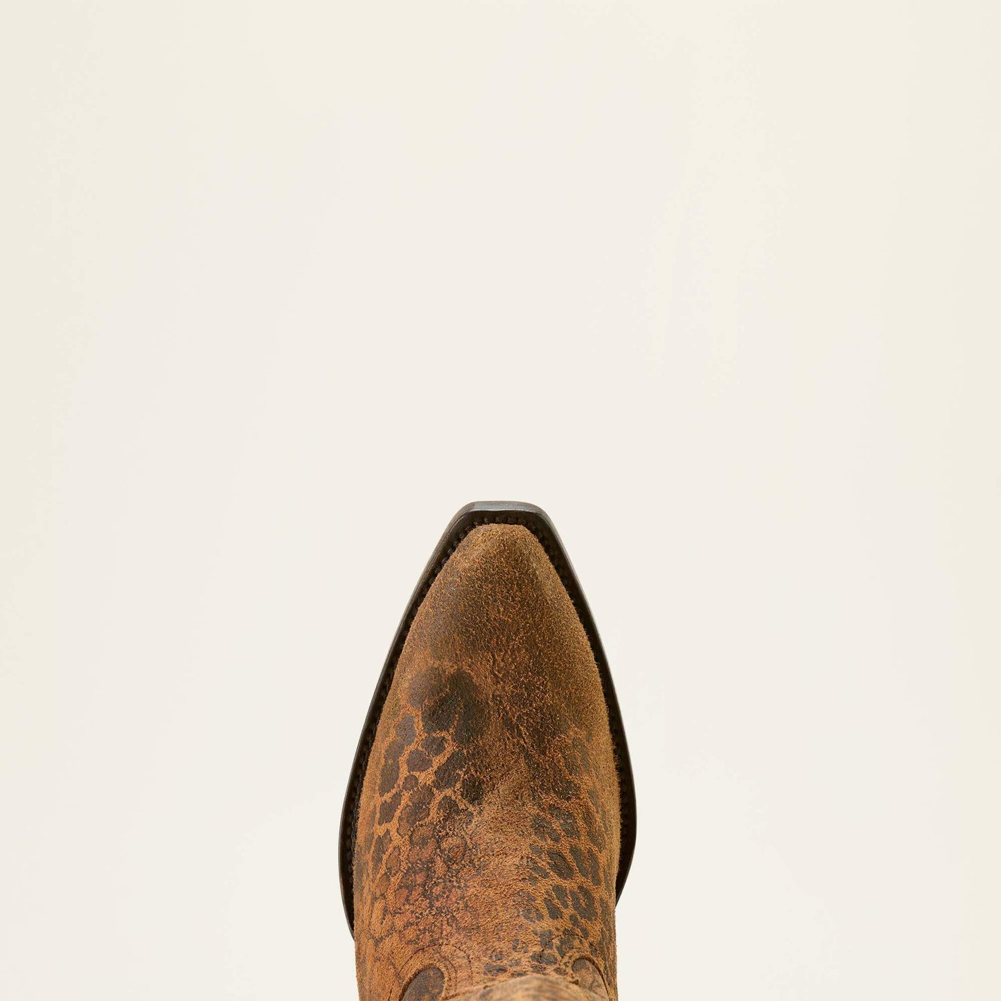 Ariat Women|Trends Casanova X Toe Western Boot