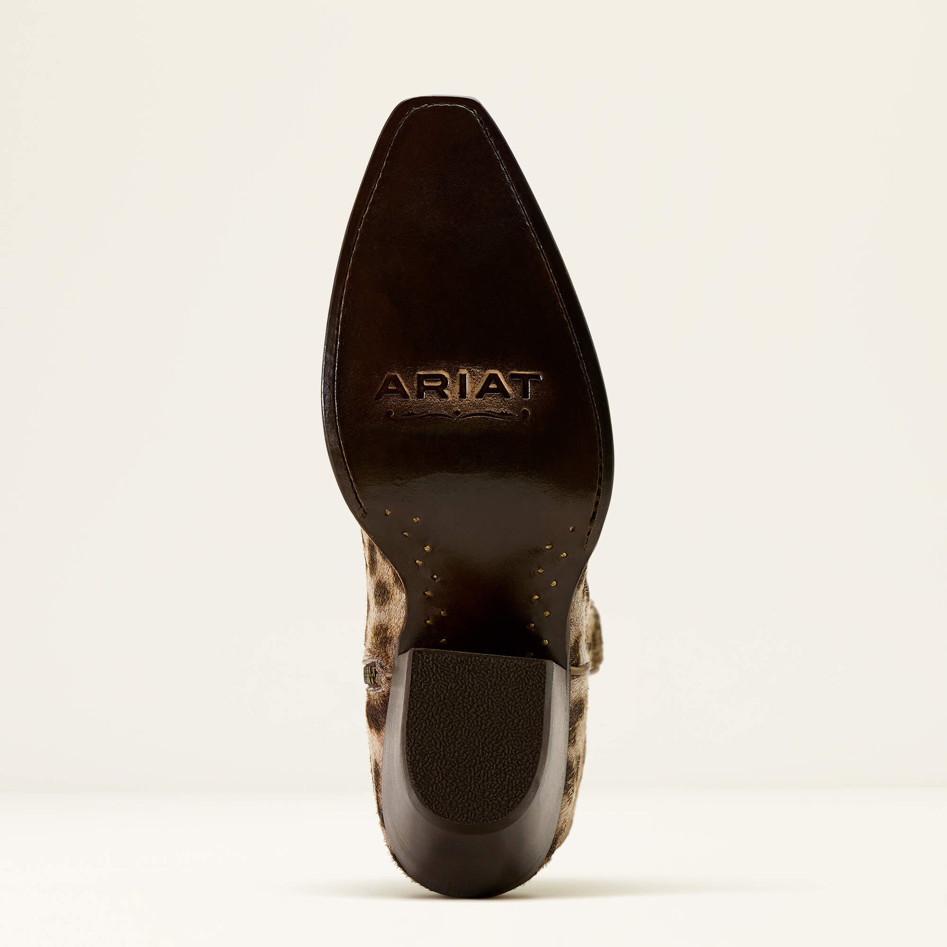 Ariat Women|Trends Casanova X Toe Western Boot