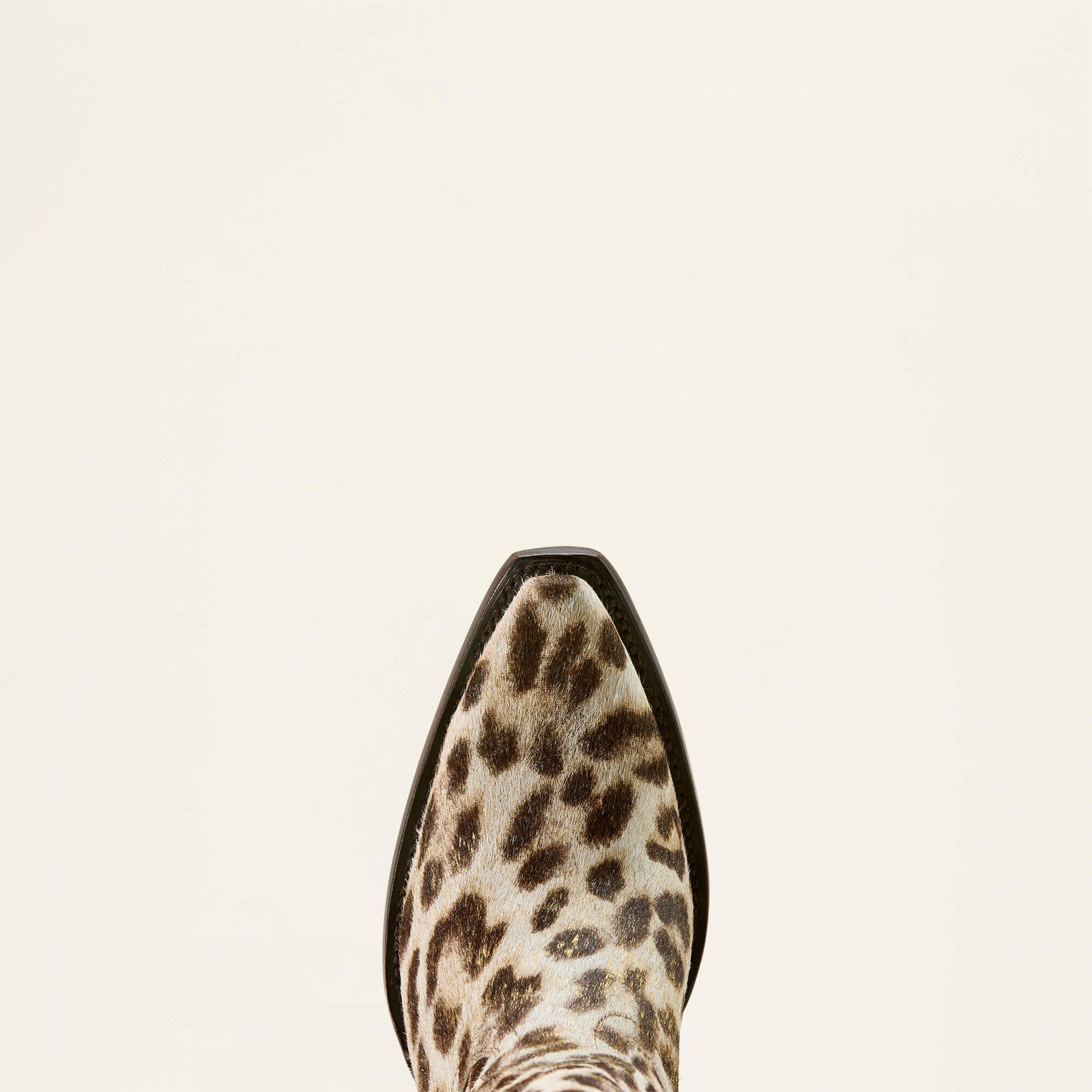 Ariat Women|Trends Casanova X Toe Western Boot