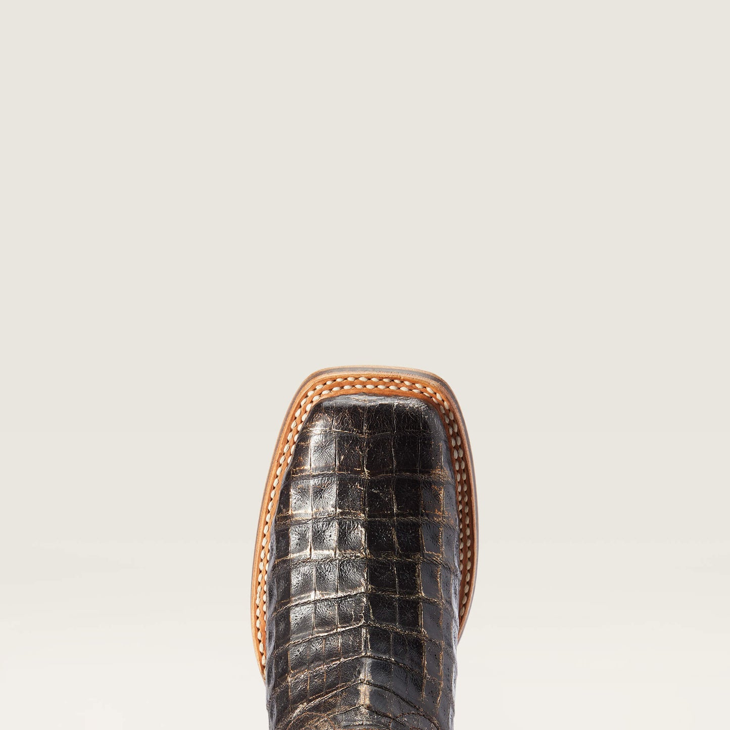 Ariat Women|Trends Donatella Western Boot
