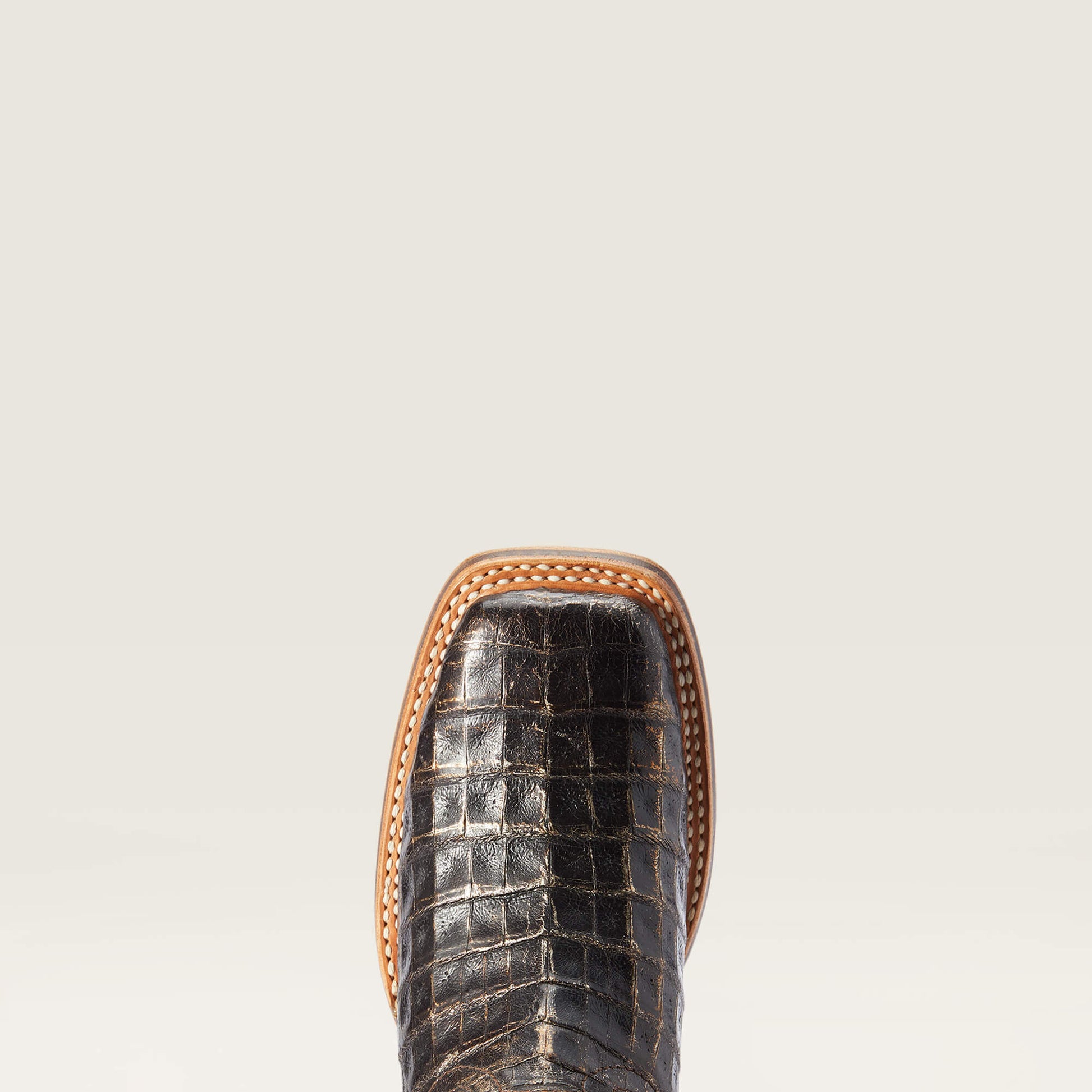 Ariat Women|Trends Donatella Western Boot