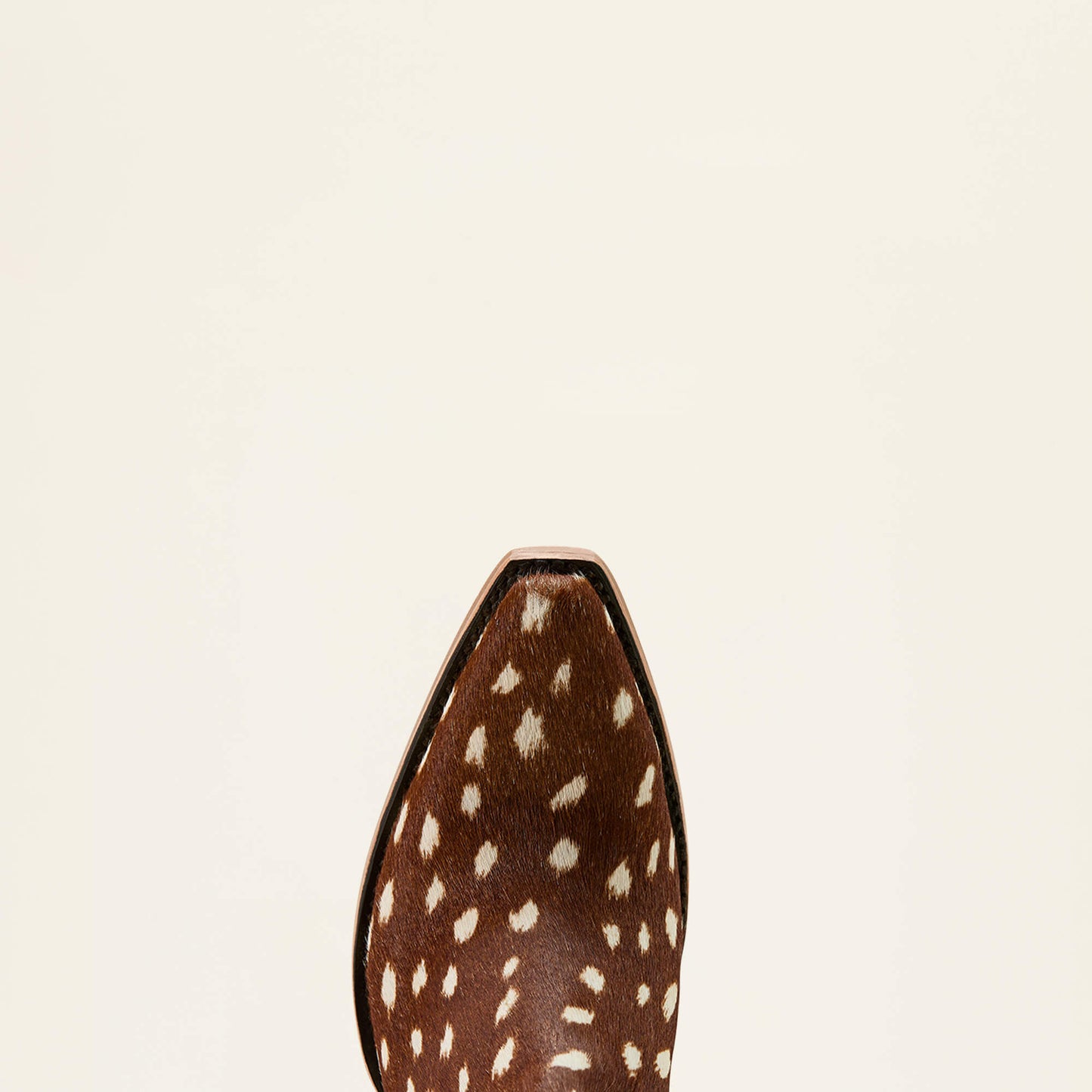 Ariat Women|Trends Dixon X Toe Western Boot