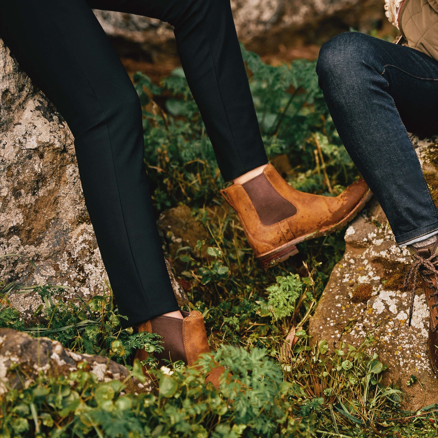 Ariat Women|Trends Wexford Waterproof Chelsea Boot