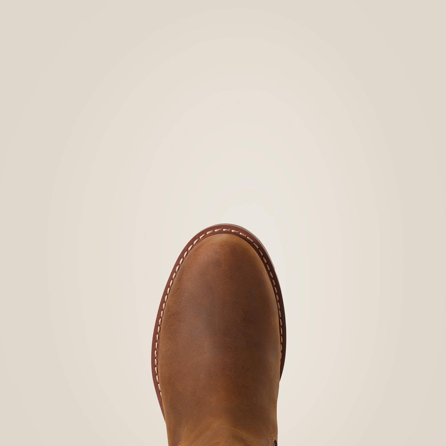 Ariat Women|Trends Wexford Waterproof Chelsea Boot