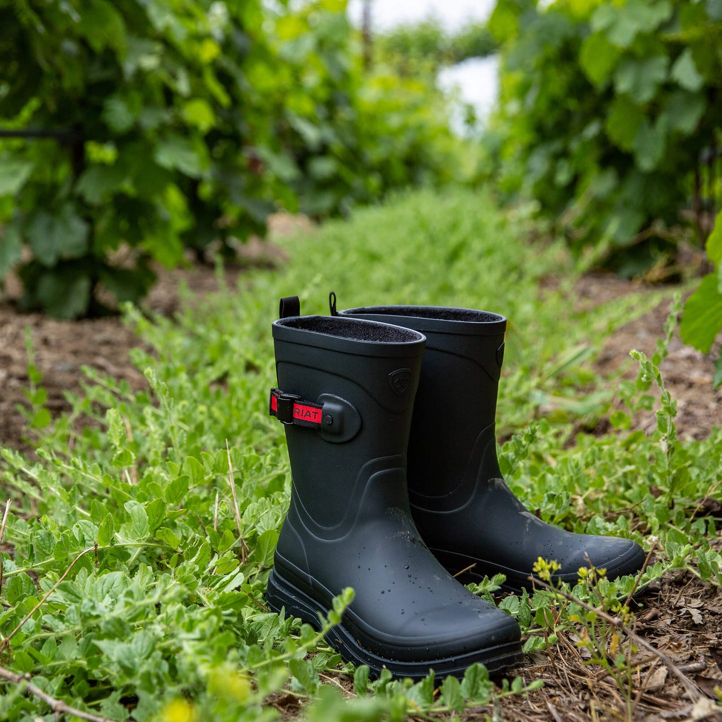 Ariat Women Kelmarsh Mid Rubber Boot