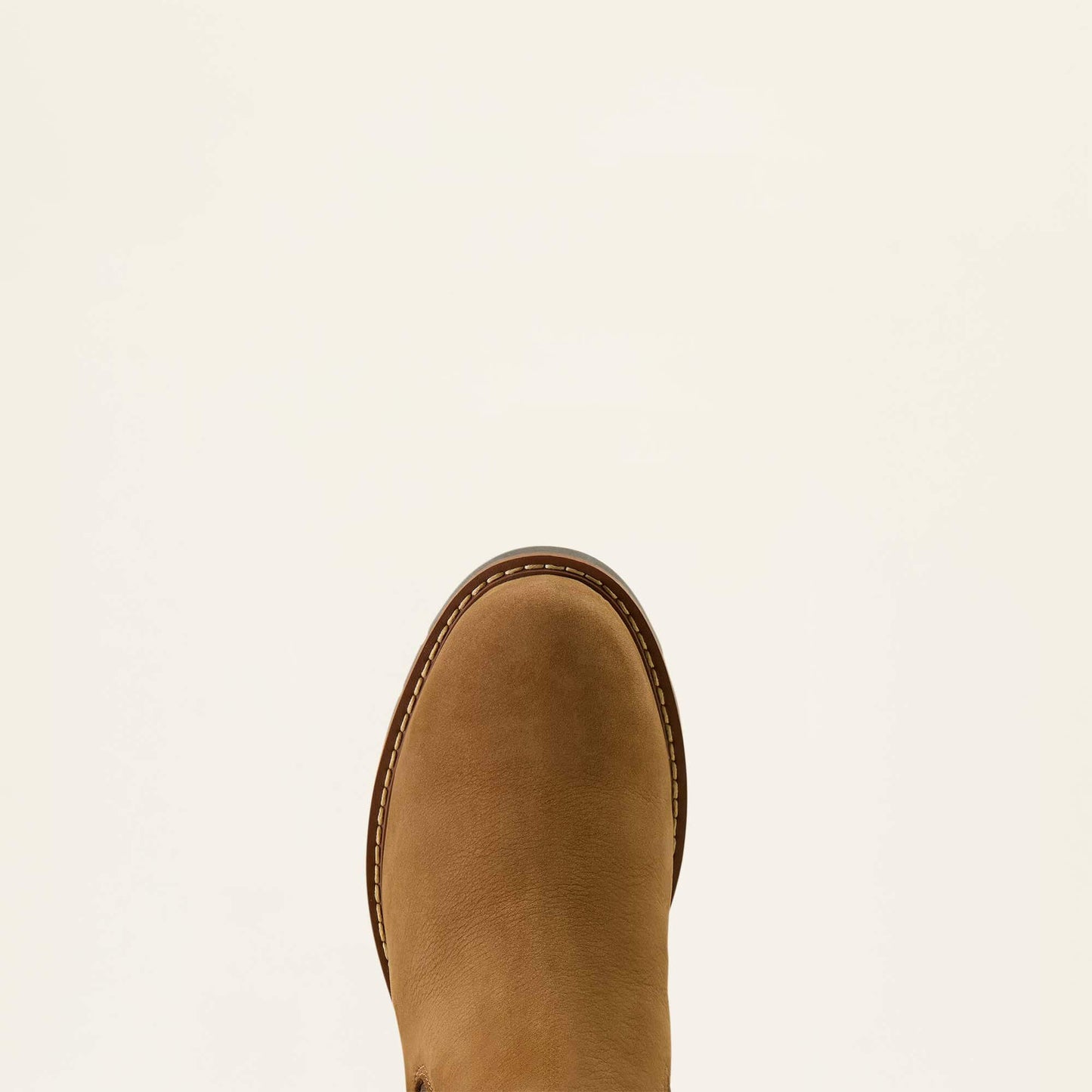 Ariat Women|Trends Wexford Sherpa Waterproof Chelsea Boot