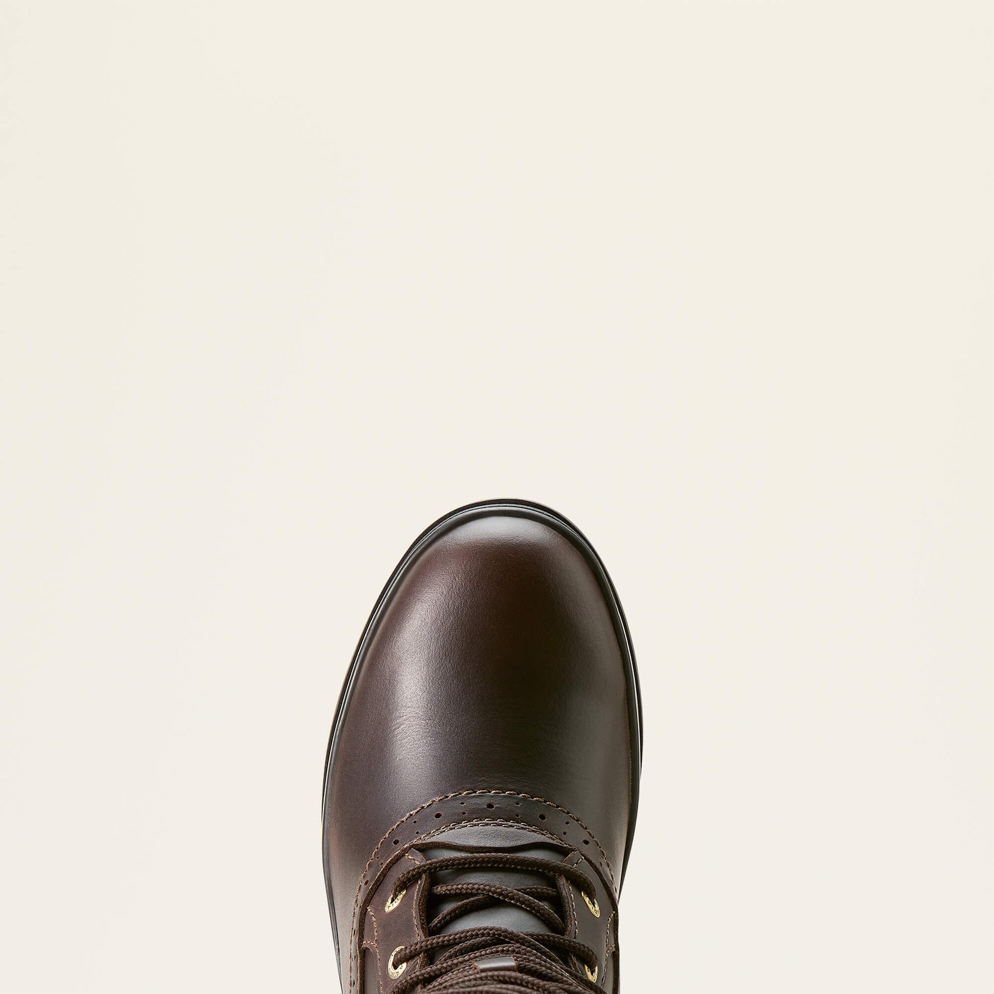 Ariat Women|Trends Wythburn II Sherpa Waterproof Boot