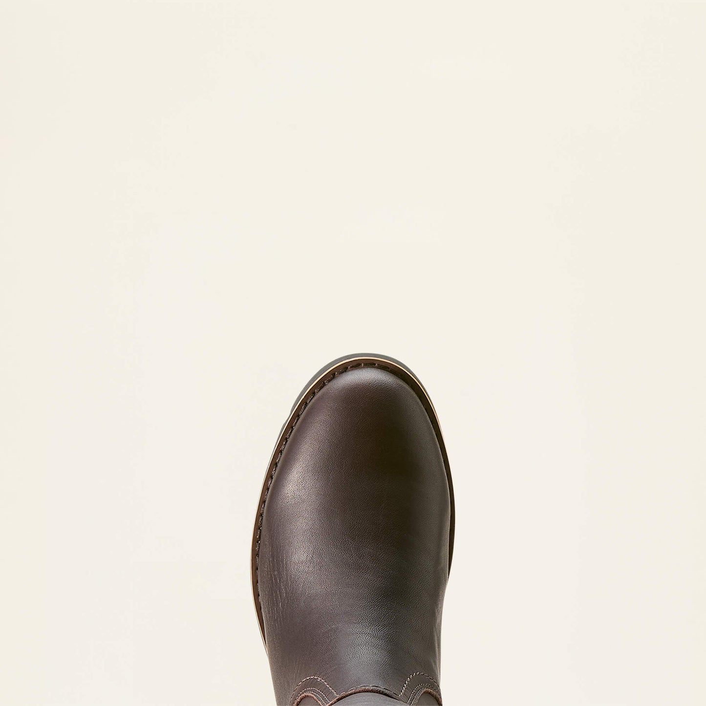 Ariat Women Arlington Sherpa Waterproof Boot