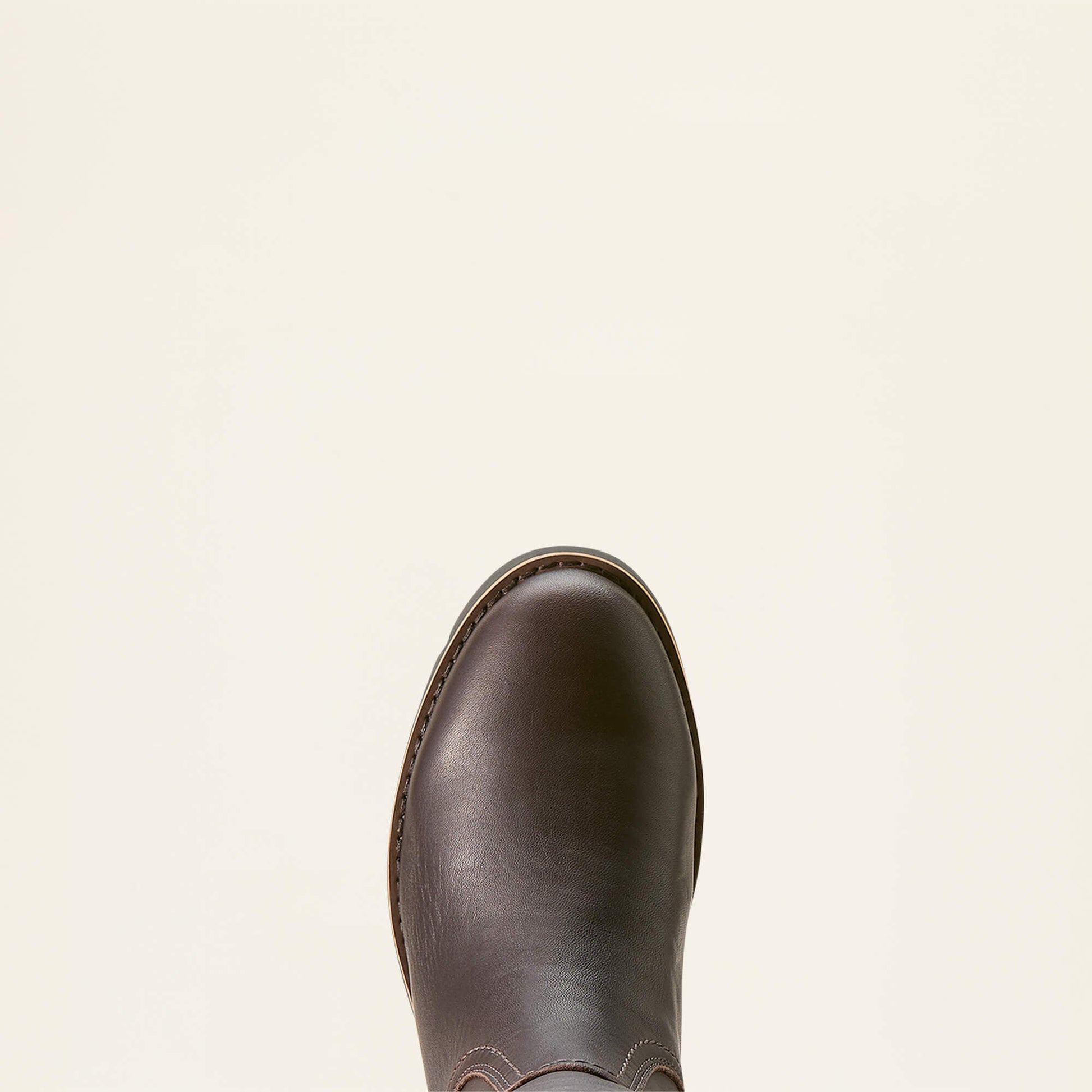 Ariat Women Arlington Sherpa Waterproof Boot