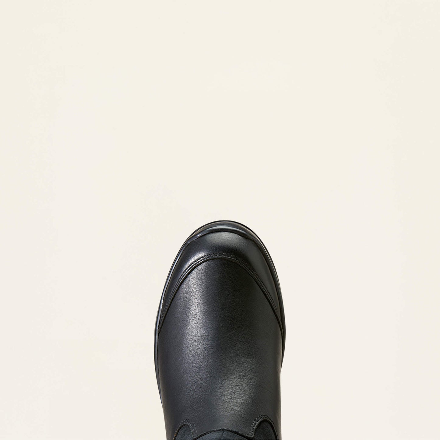 Ariat Women|Trends Extreme Pro Tall Waterproof Insulated Tall Riding Boot