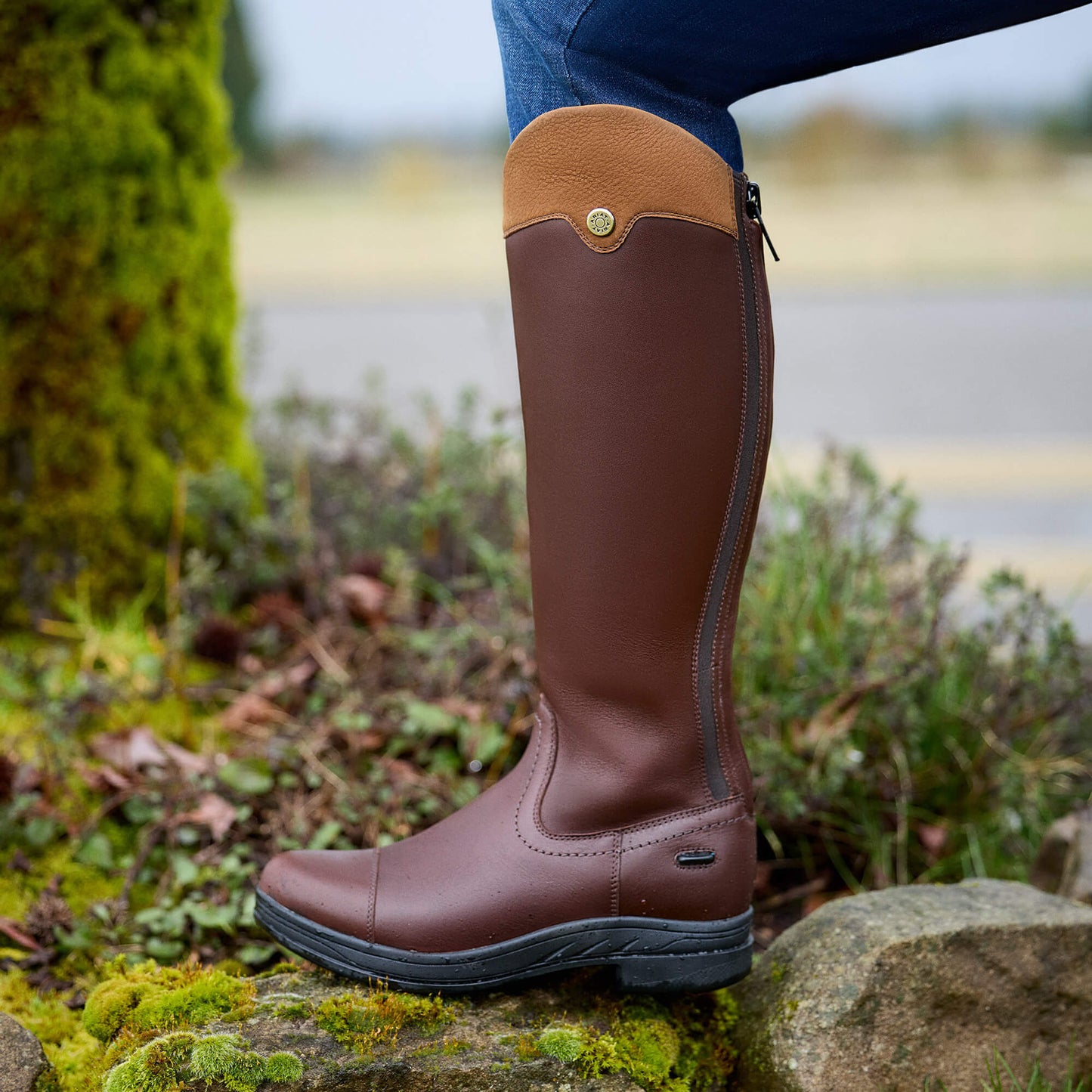 Ariat Women|Trends Stamford Waterproof Boot