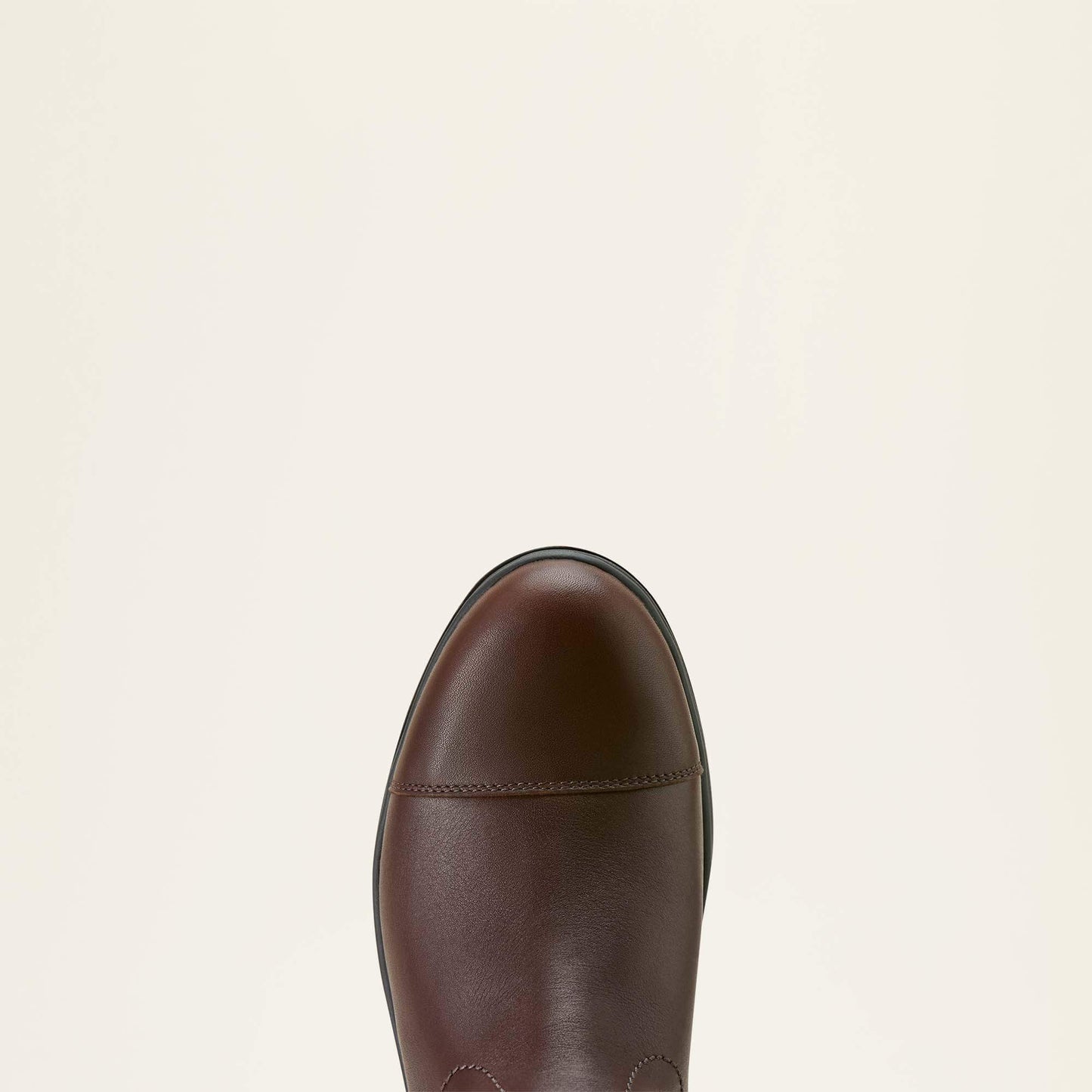 Ariat Women|Trends Stamford Waterproof Boot