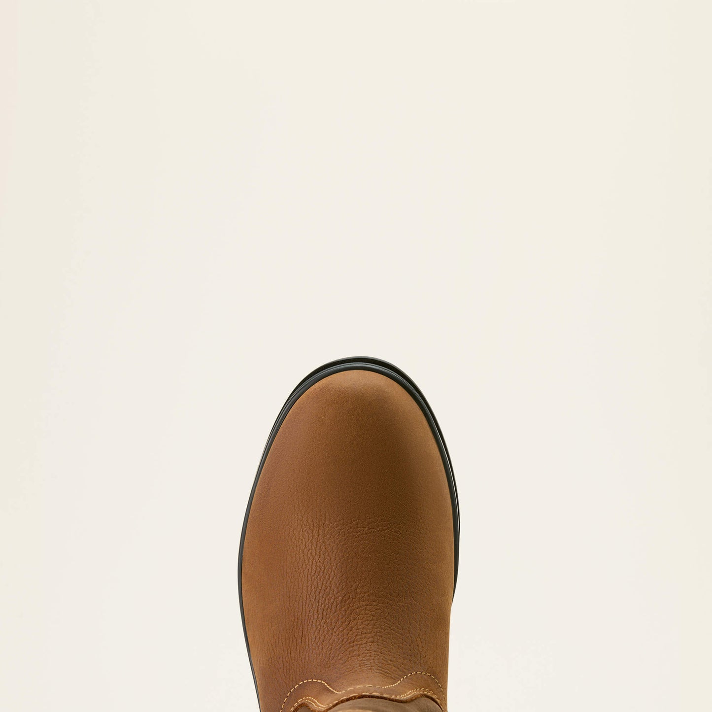 Ariat Women|Trends Bampton Waterproof Boot
