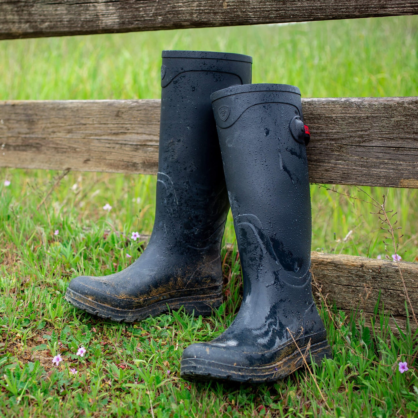 Ariat Women|Trends Kelmarsh Rubber Boot