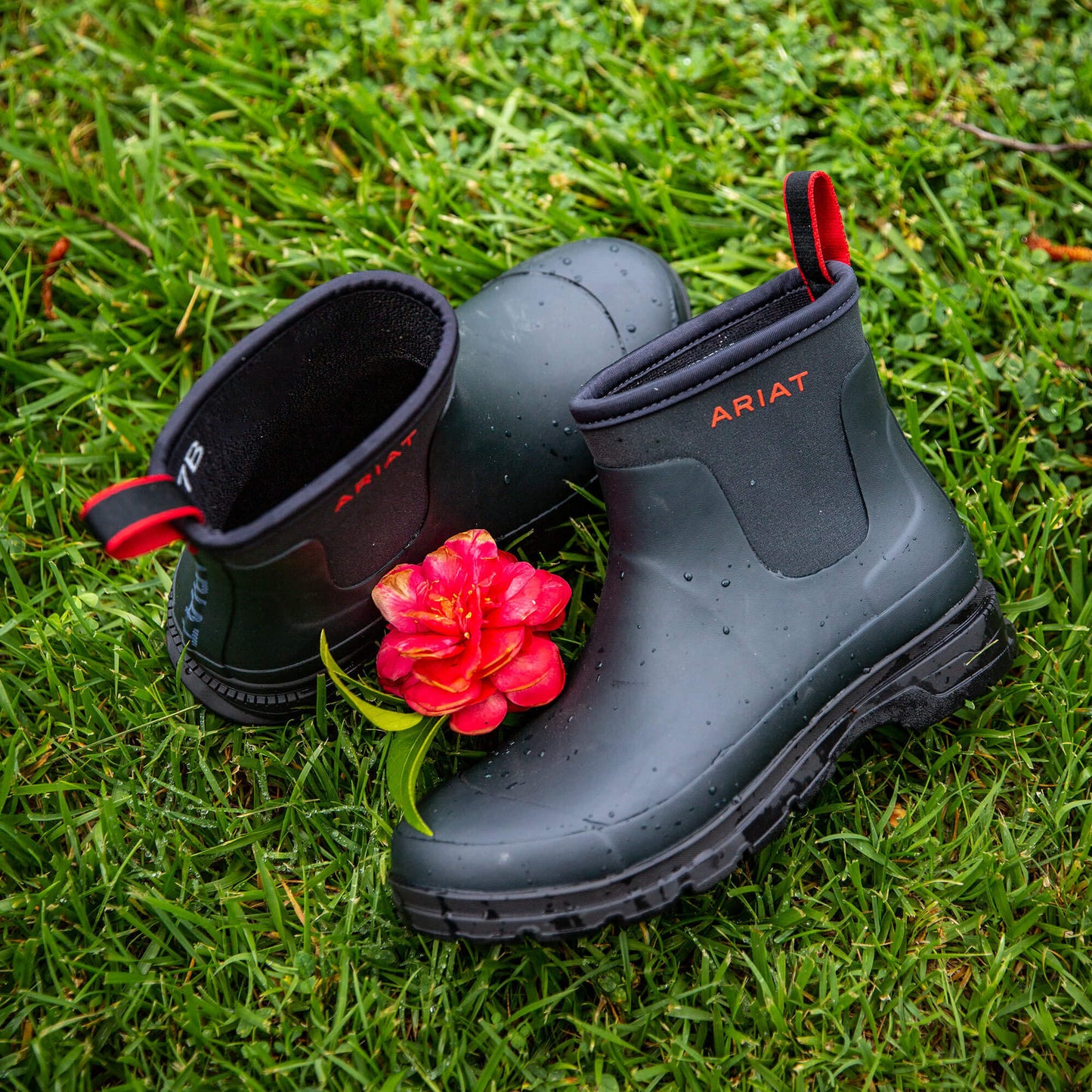 Ariat Women Kelmarsh Shortie Rubber Boot