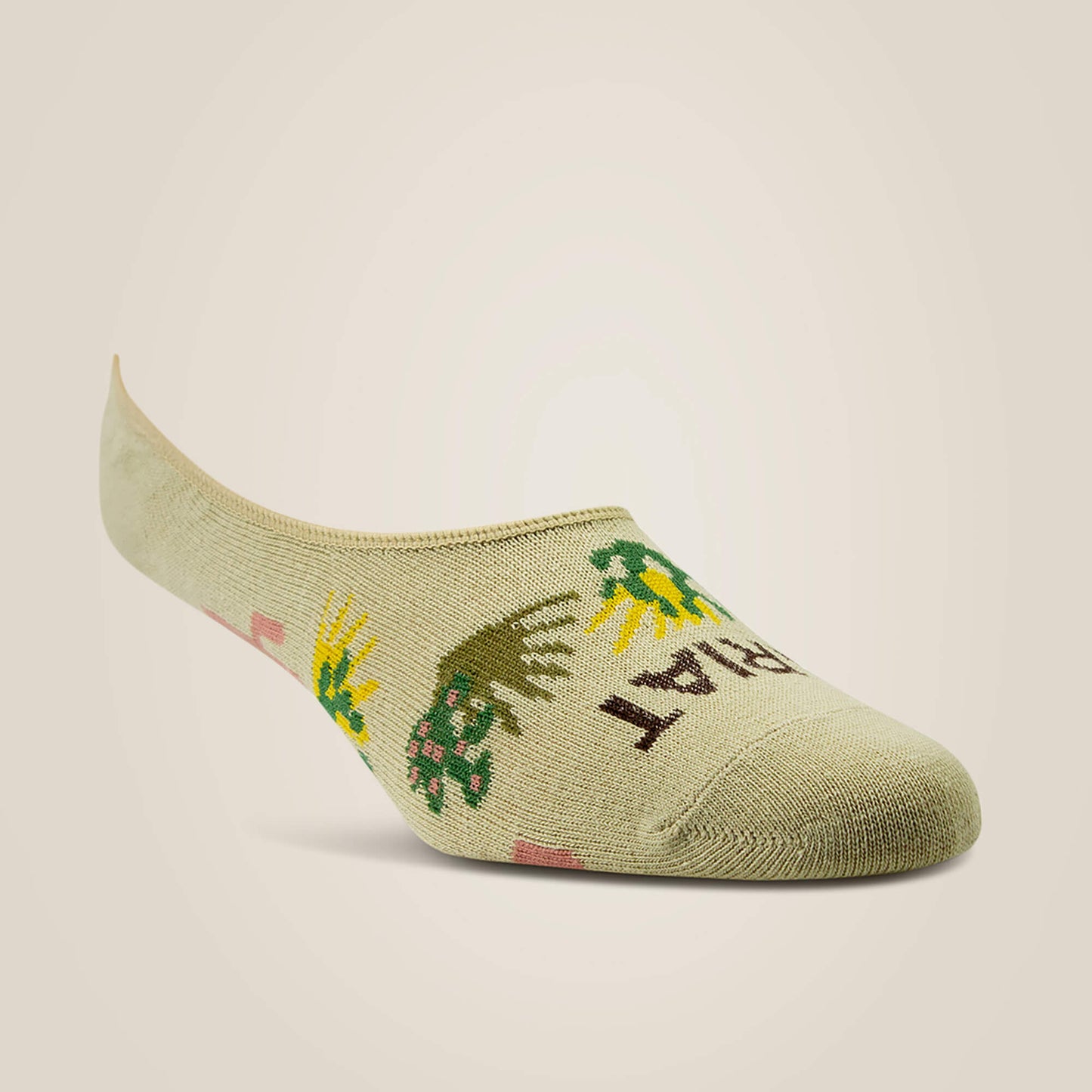 Ariat Women No Slip No Show Sock 2 Pair Multi Color Pack