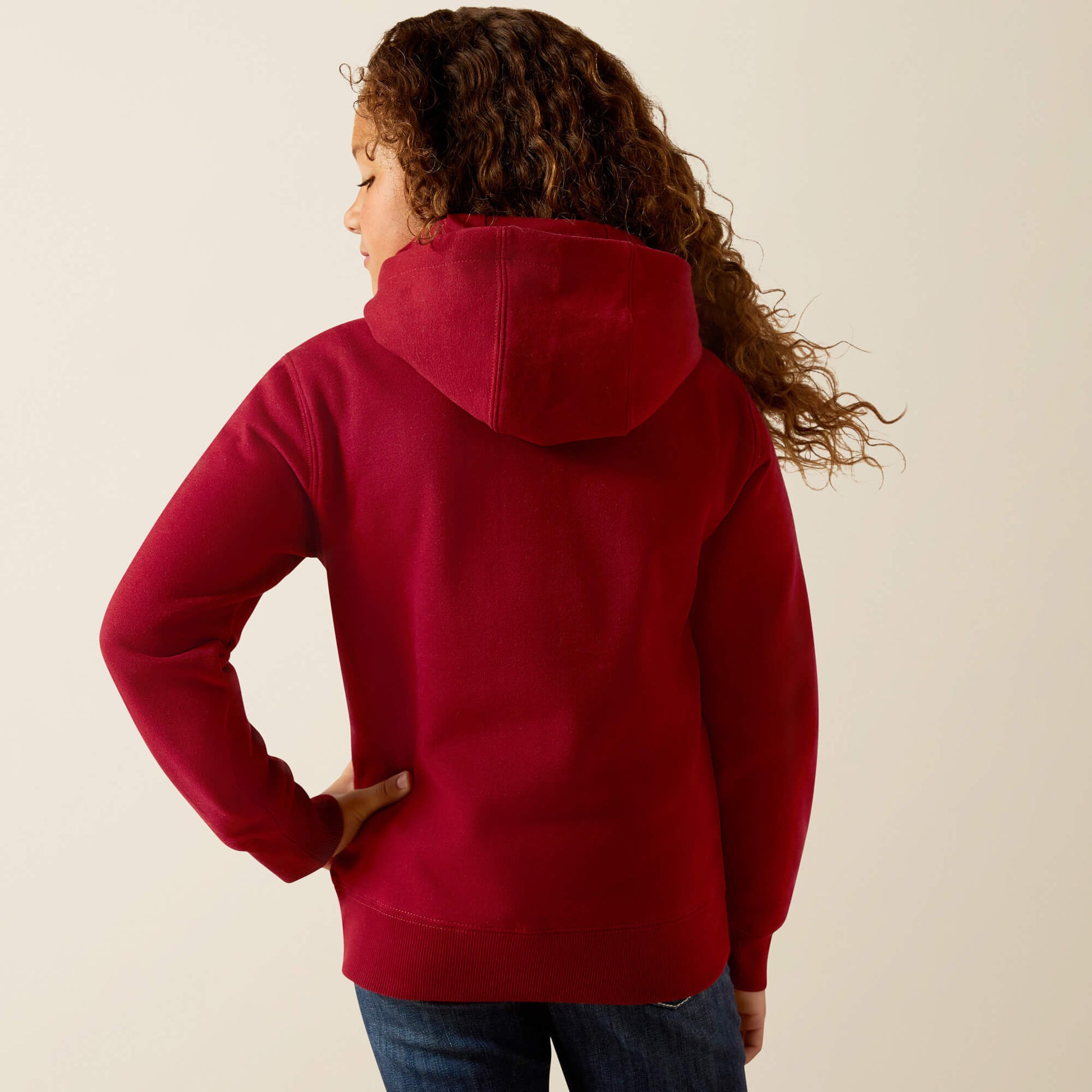 Ariat Kids Ariat 2.0 Hoodie